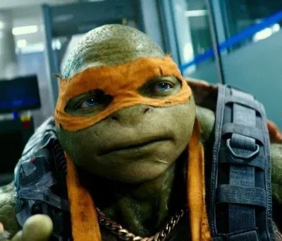 Michelangelo Hamato