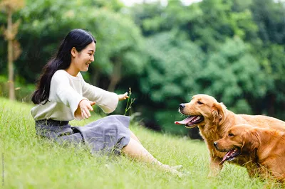 Dog Park Fun - Emily Chen and Buddy