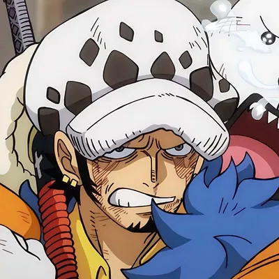 Trafalgar D. Water Law
