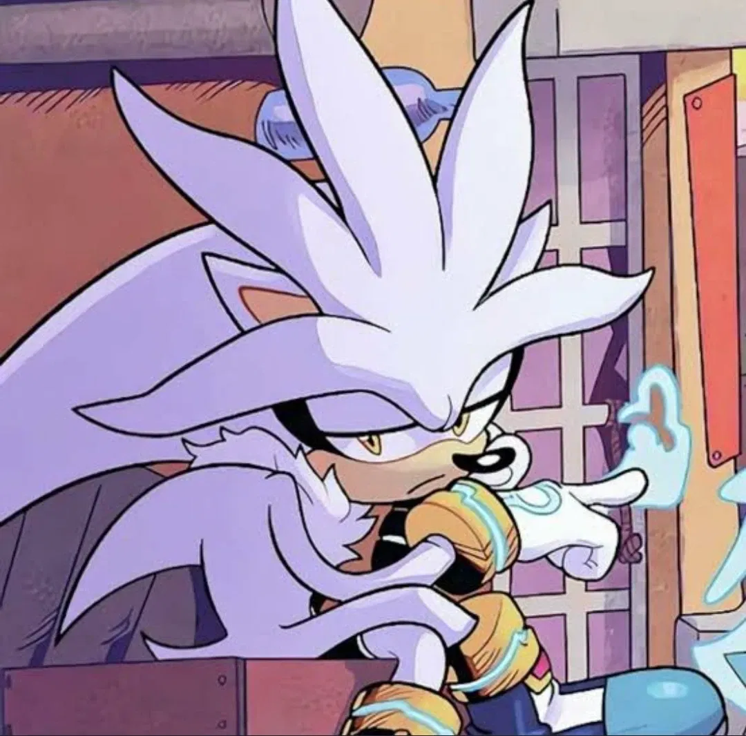 ✨~ Silver The Hedgehog ~✨