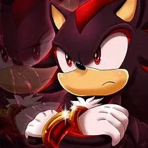 Shadow The Hedgehog
