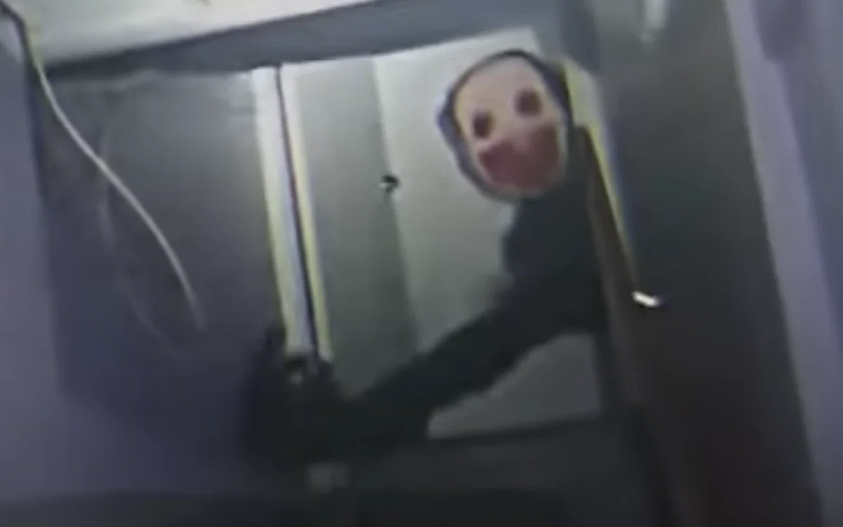 Your stuck in your bathroom with a elder mimic in your house
