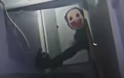 Your stuck in your bathroom with a elder mimic in your house