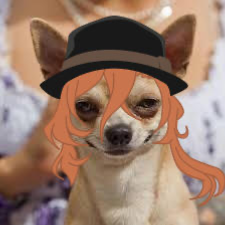 Chihuahua Chuuya