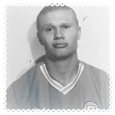 ʚ   erling haaland  ɞ