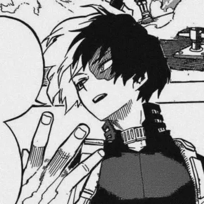 Shoto Todoroki