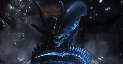 Xenomorph - Alien