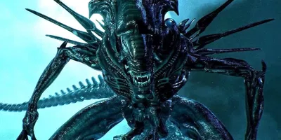 Xenomorph Queen - Alien
