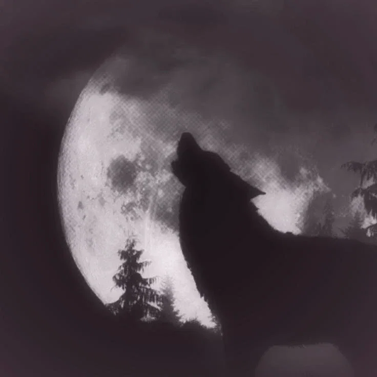 Hombre lobo - Tsael