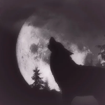 Hombre lobo - Tsael