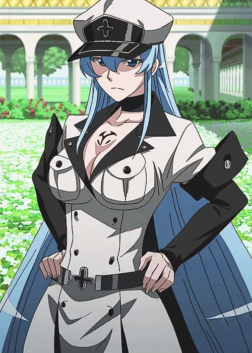 Esdeath | she wants to kill you because you are a rebel against the empire and all that shit