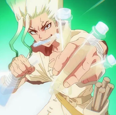Dr. Stone A.U