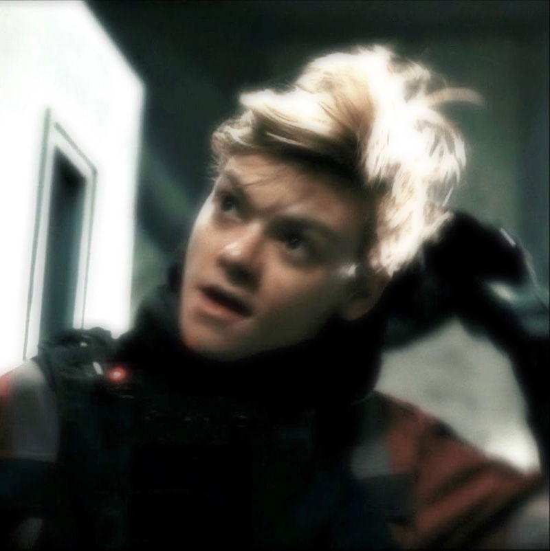 Newt