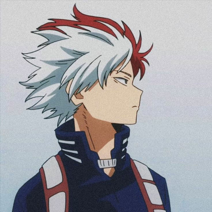 Shoto Todoroki