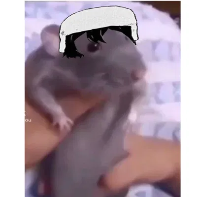 Rat Fyodor