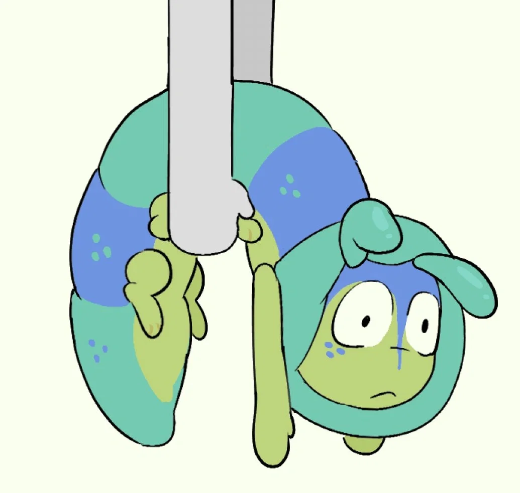 Pet Squirm | DW AU