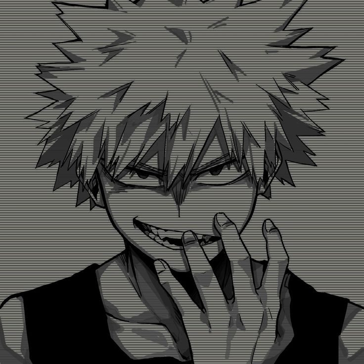 Katsuki Bakugou |tú seguidor