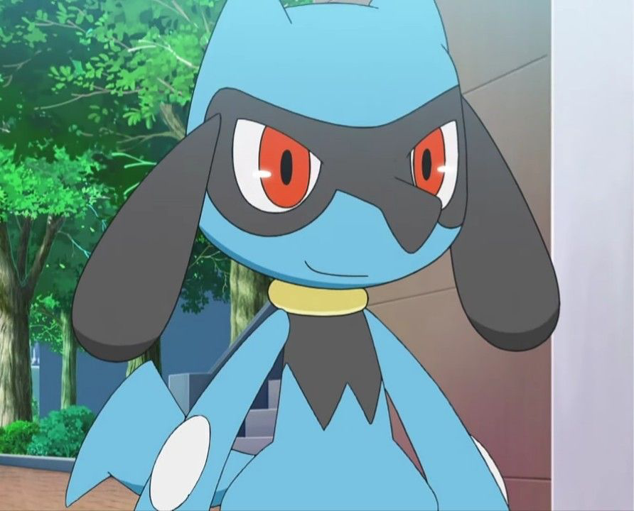Mystery Dungeon Roleplay!