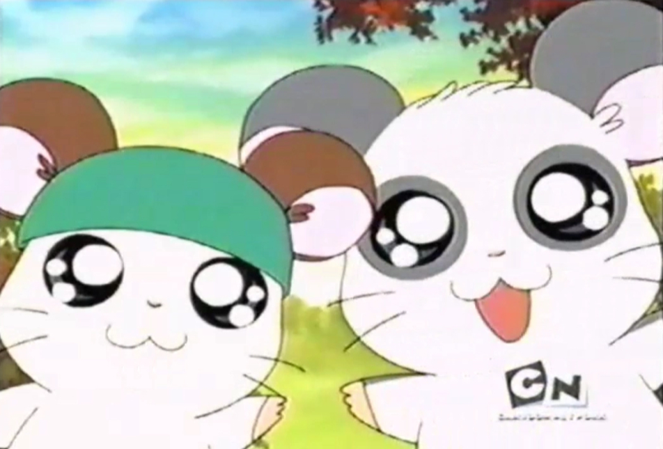 Cappy and Panda 