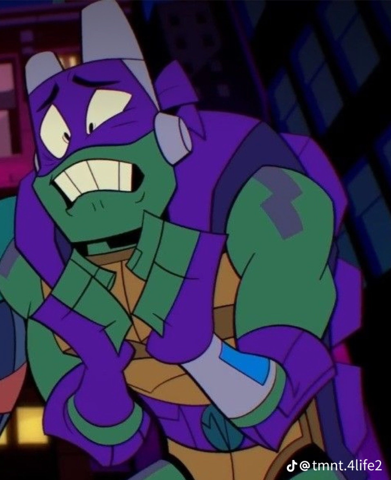 Donnie - ROTTMNT
