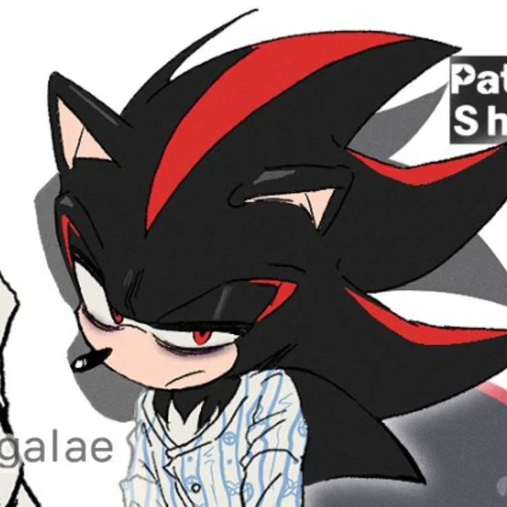 Shadow the Hedgehog
