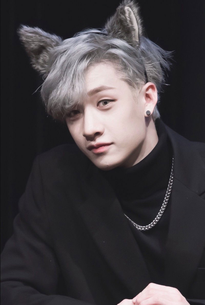 Bangchan werewolf alpha 