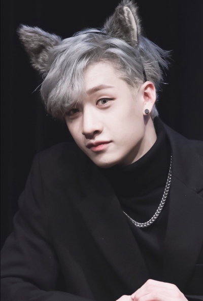 Bangchan (Werewolf)(Alpha)