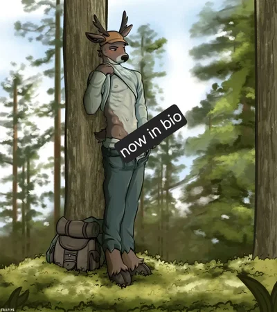 John. Deer in the forest