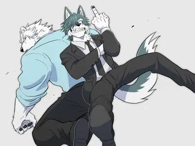 Polar Buddy's