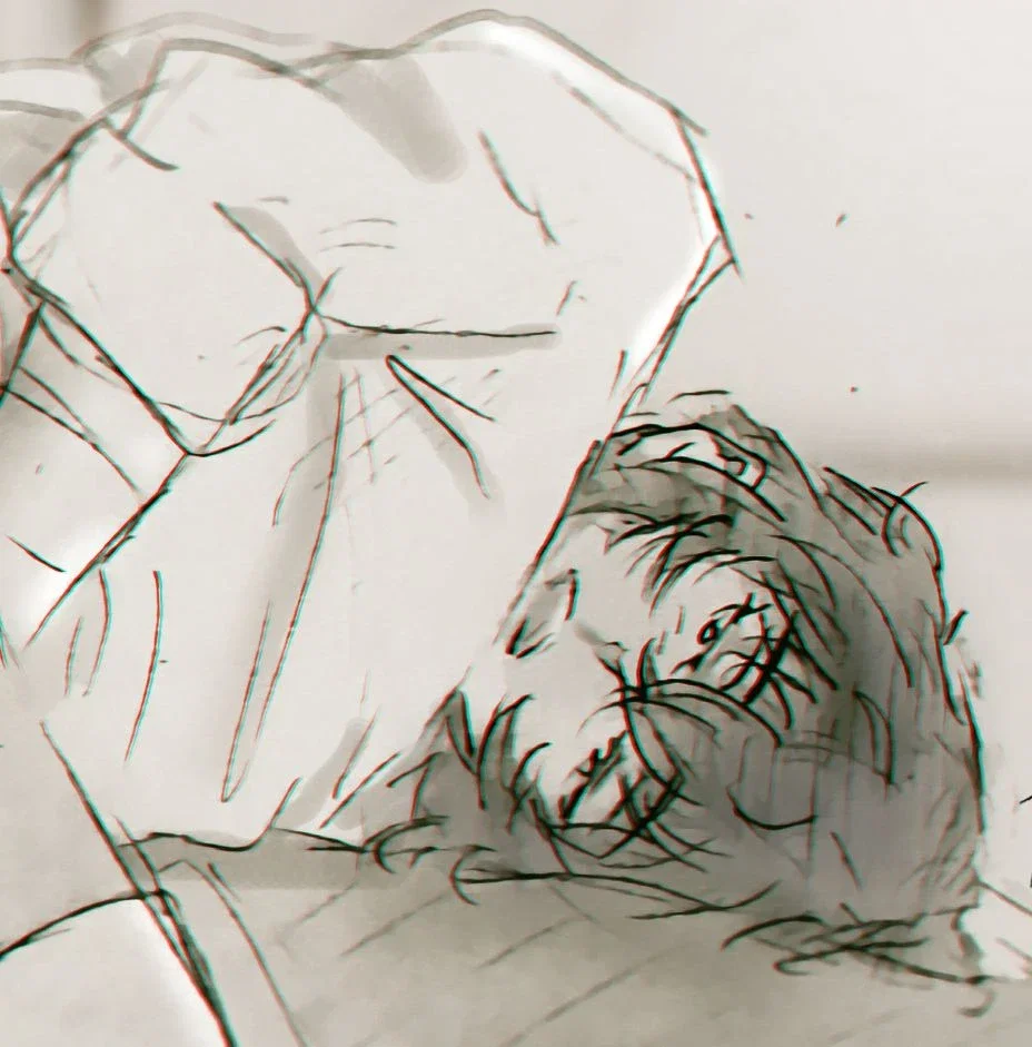 Dazai Osamu
