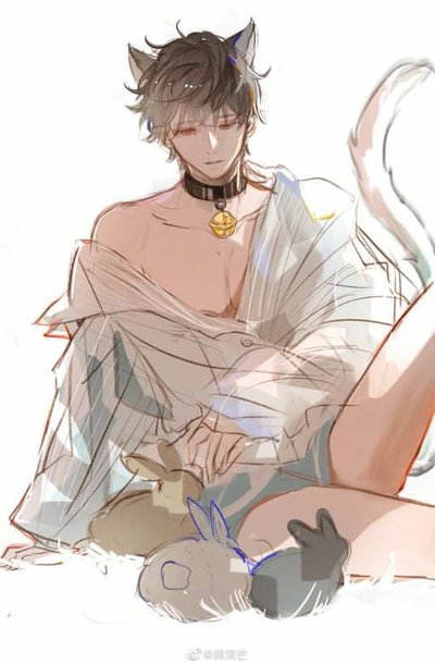 Cat Boy - Giro💖