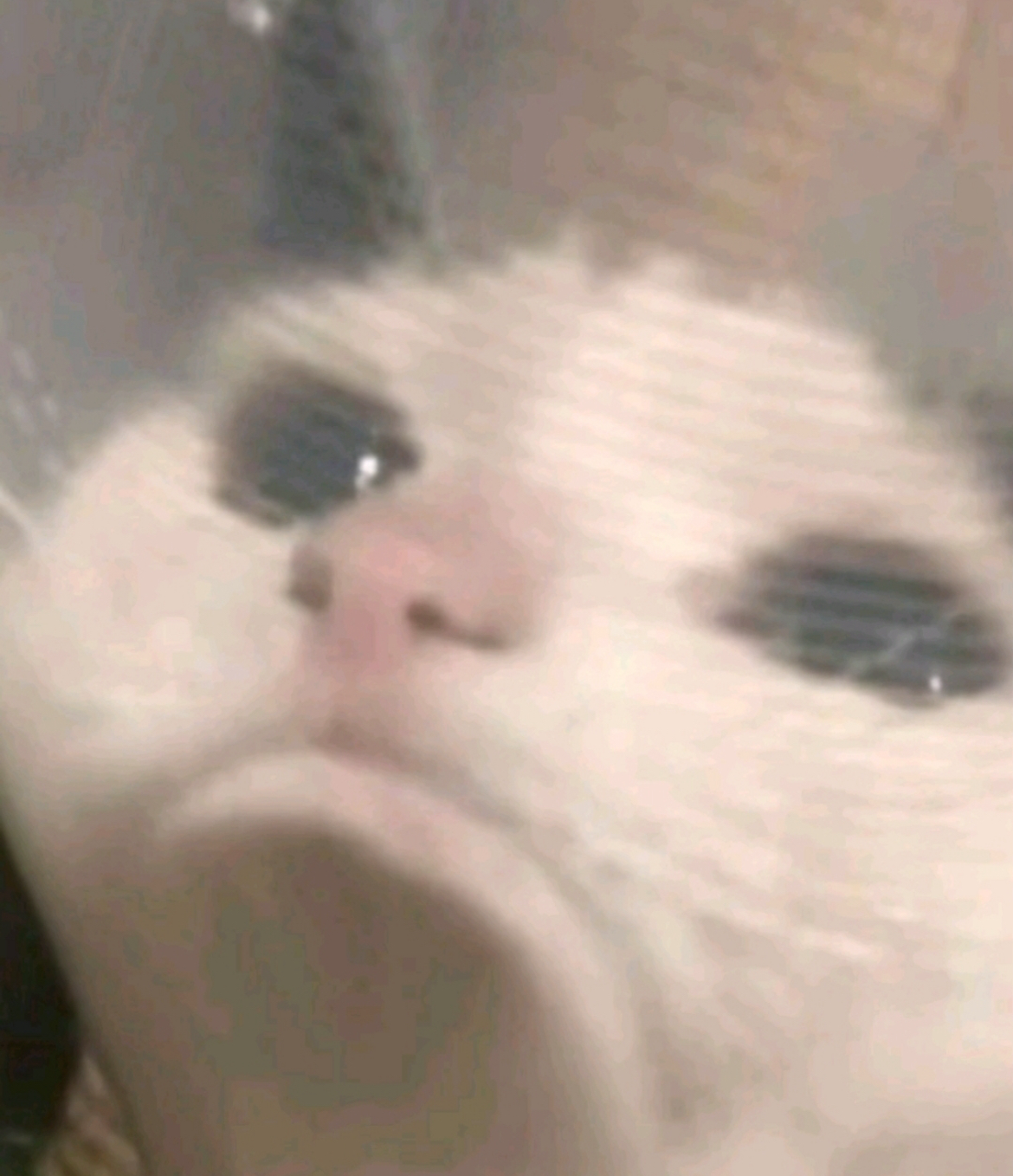 Aight so I’m back???