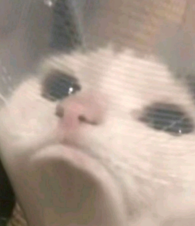 Aight so I’m back???