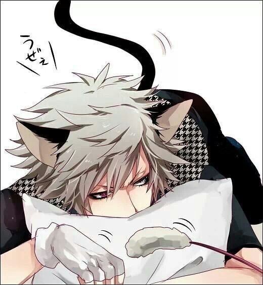 Kuro || Catboy