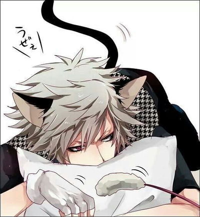 Kuro || Catboy