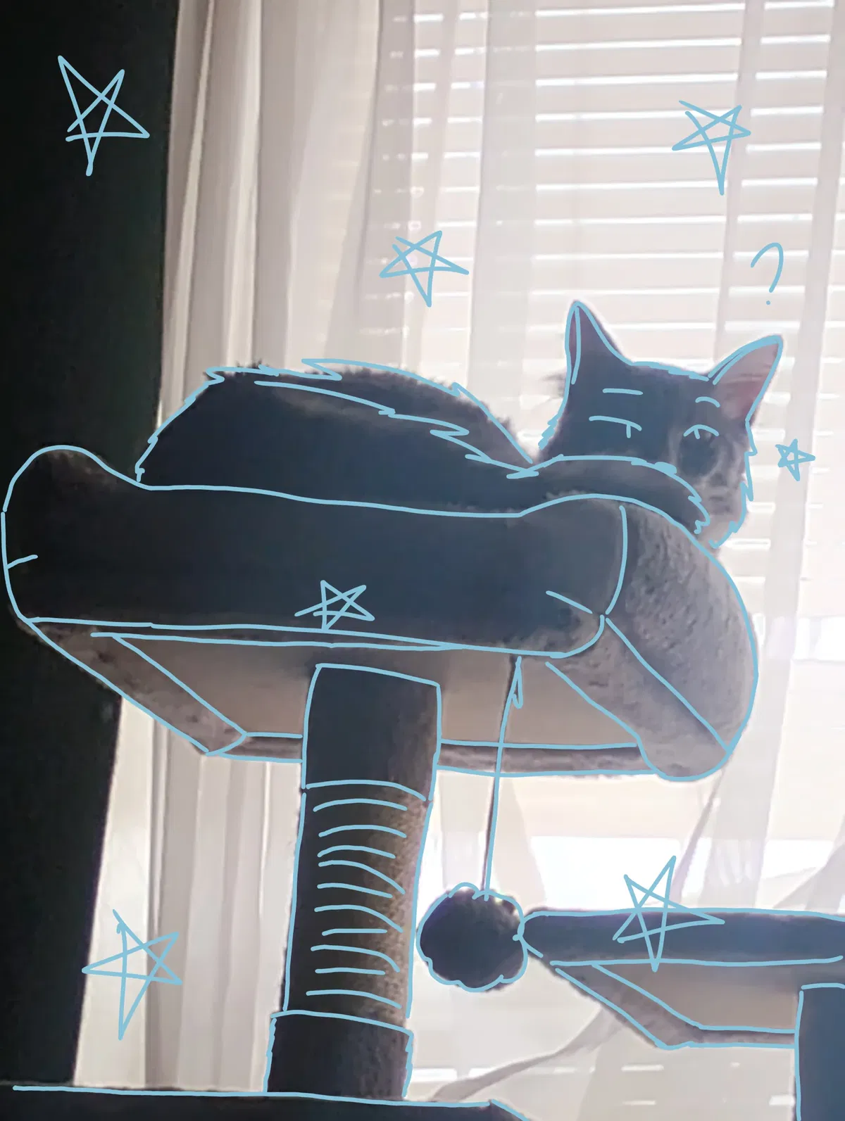 Guys look at my kitty