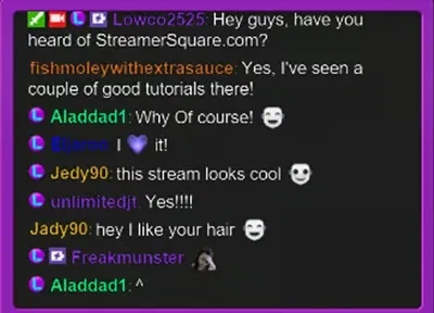 - Your Twitch Chat! -
