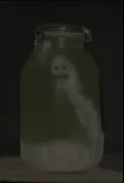 The Bed Worm