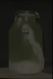 The Bed Worm