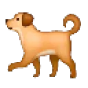 DogCatcher23