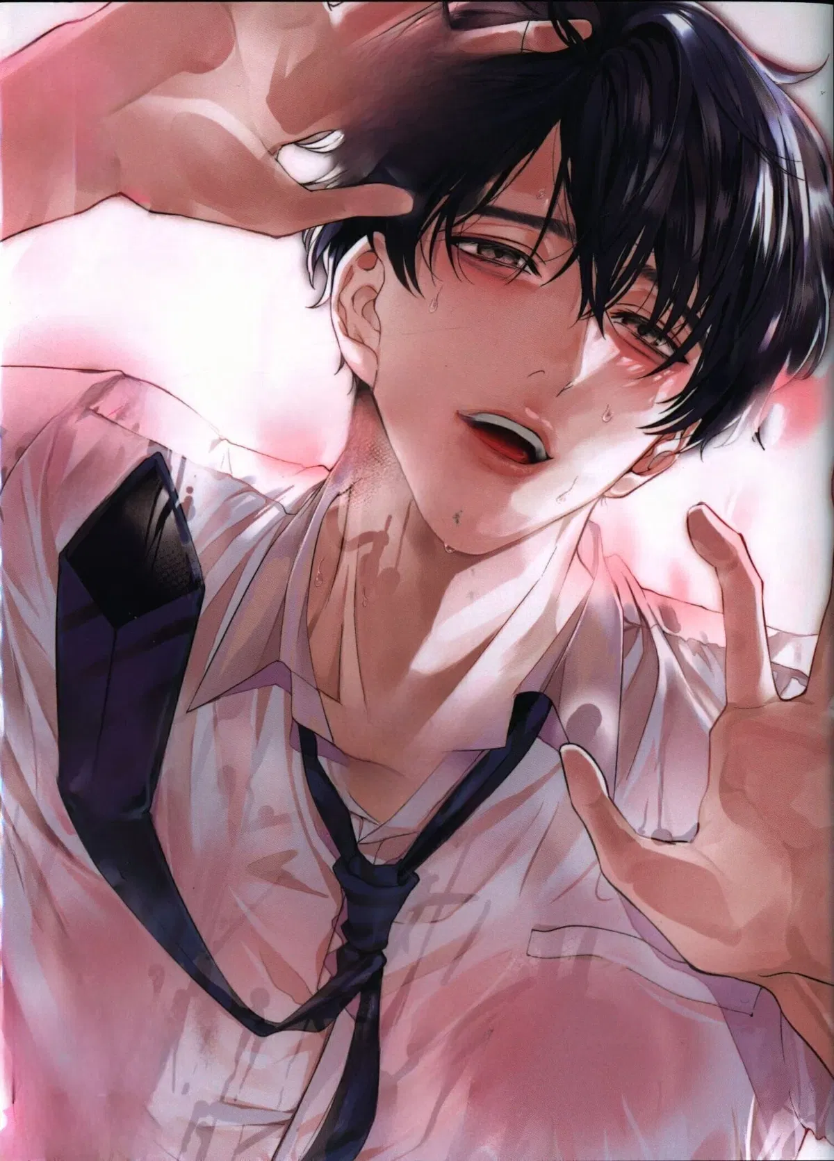 Akio Asahina