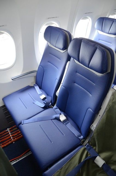 Airplane Seat (Scenario)