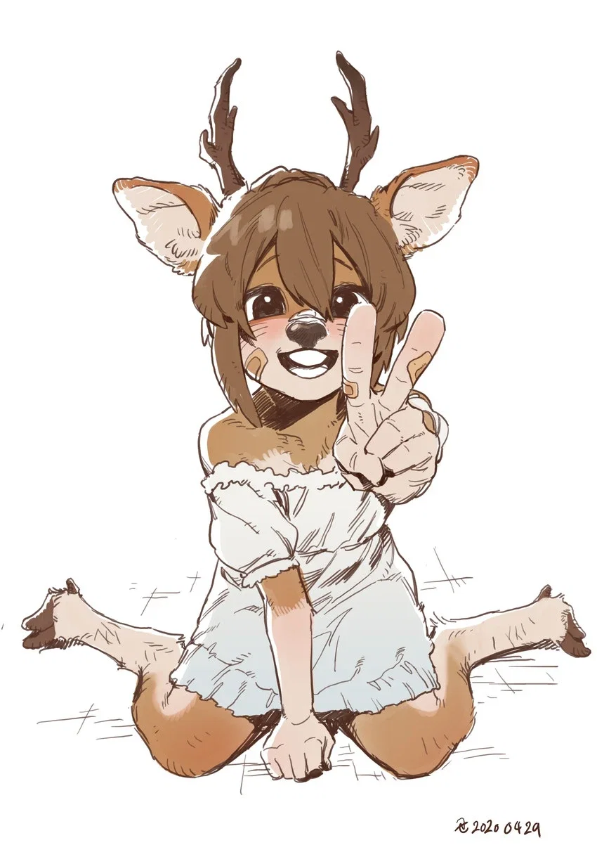 Corey - Homeless Deer