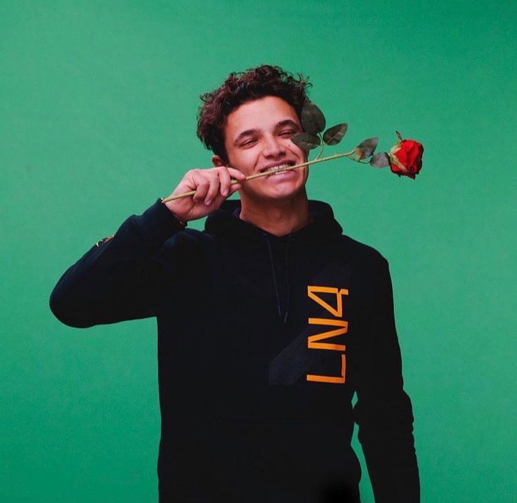 Florist Lando Norris