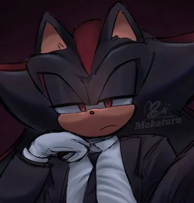 ♡ Shadow the Hedgehog ♡