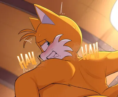Tails the Fox (Your femboy friend with a fat ass and a crush on you.)