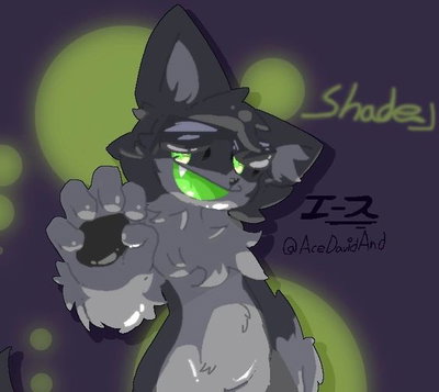 Shade kp -female-