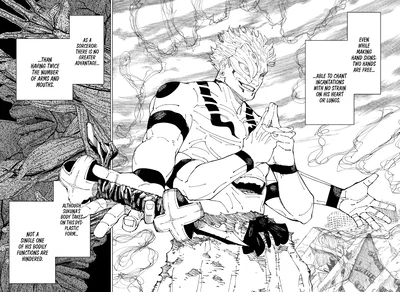 Ryomen Sukuna (Afterlife)