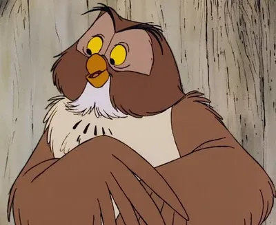 Owl