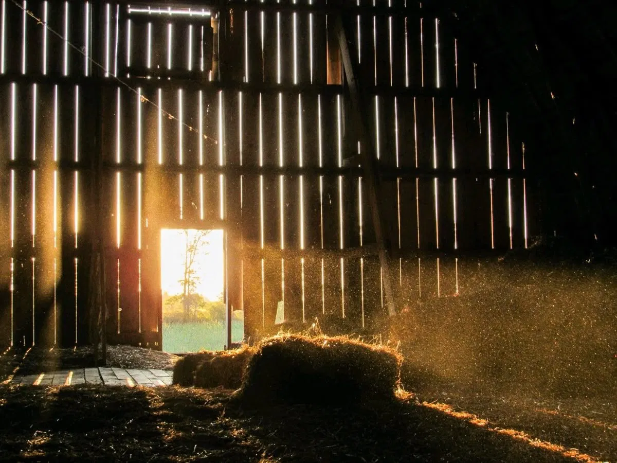 Farm RPG